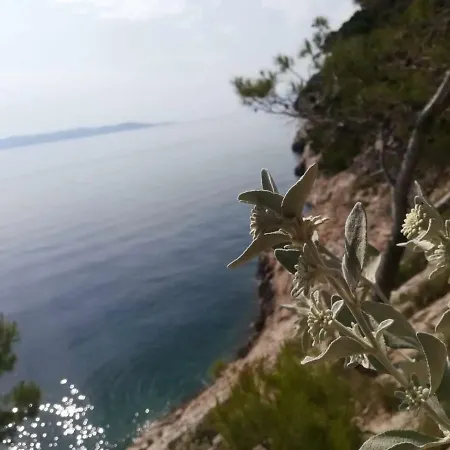 Apartamento Mimi And Mana Makarska
